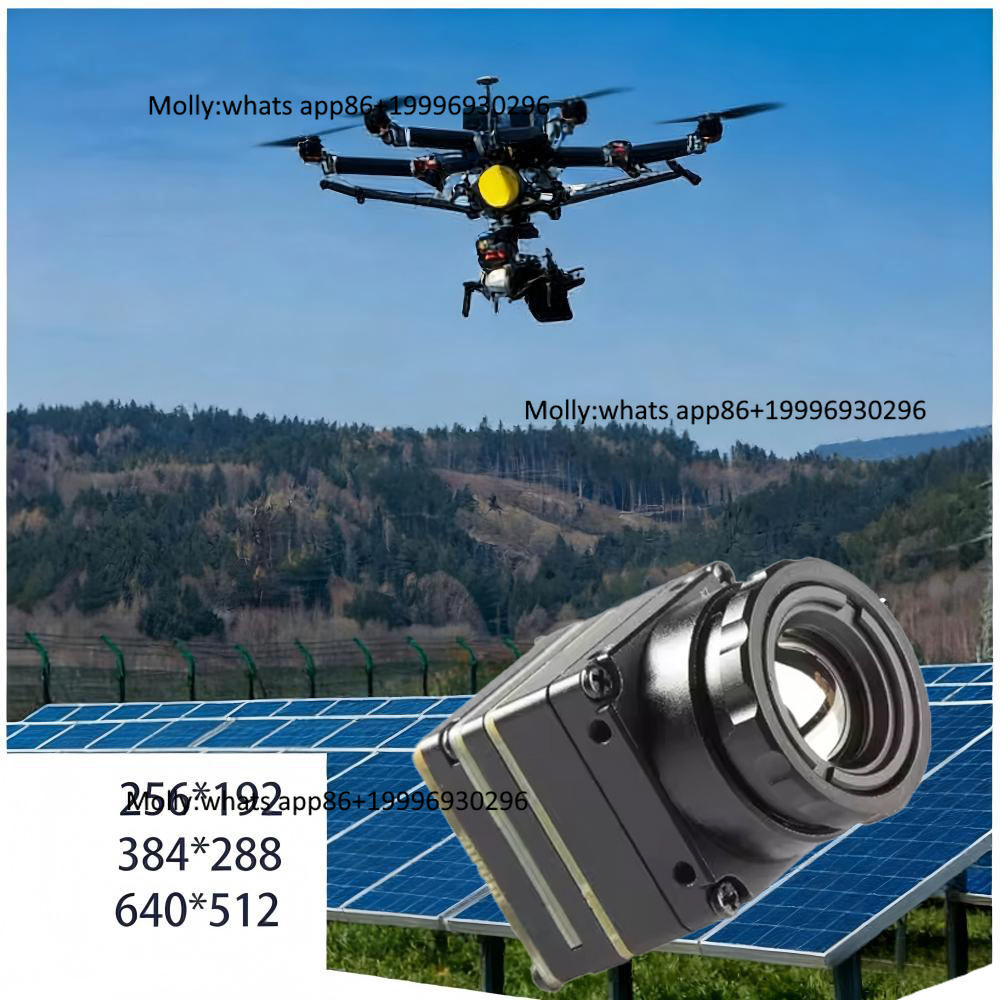 Thermal Camera Type C 384X288 - ミニFPVサーマルカメラモジュール、CVBS/Type-C対応、4.0/6.8/9.7mmレンズ、256x192/384x288/640x512 プラスチック製サーマルイメージングカメラ